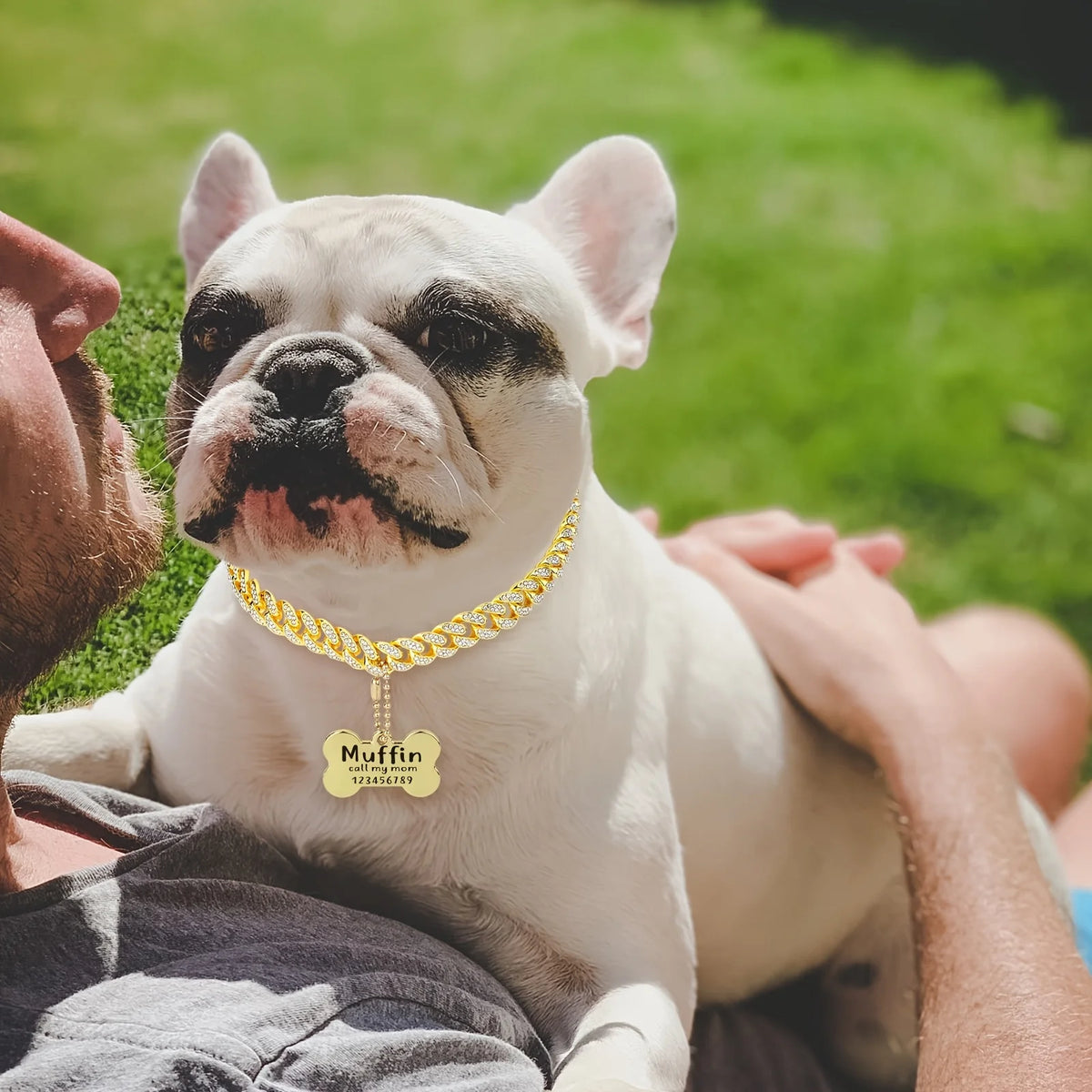 🐾 Personalisiertes Hundehalsband aus Edelstahl mit kubanischem Gliederdesign – 16 Zoll