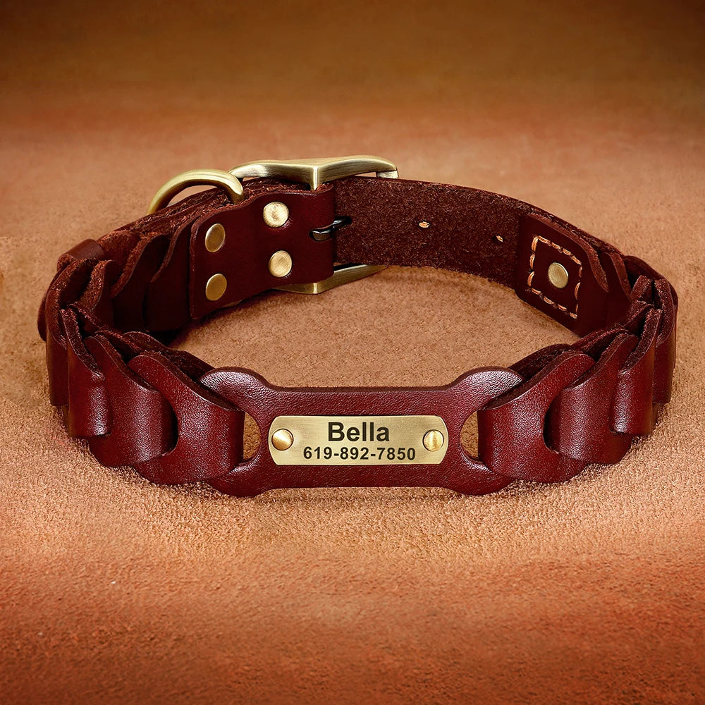 🐶 Personalisiertes Leder-Hundehalsband mit Namensgravur – Verstellbar & robust