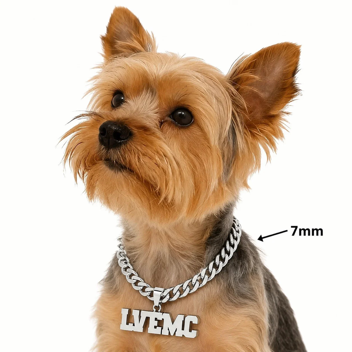 Personalisierte Hunde-Namenskette 🐾 5 mm Edelstahl-Gliederkette mit doppelter Hundemarke