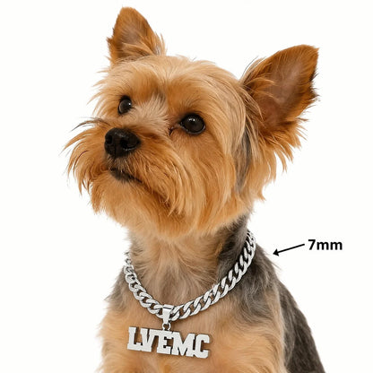 Personalisierte Hunde-Namenskette 🐾 5 mm Edelstahl-Gliederkette mit doppelter Hundemarke
