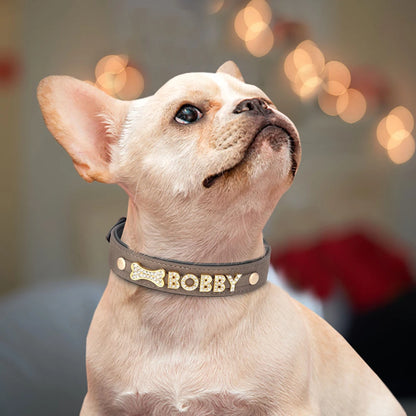 Personalisiertes Leder-Hundehalsband 🐾 Verstellbares Halsband mit Namensanhänger für kleine & mittelgroße Hunde