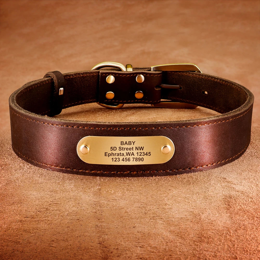 🐶 Personalisiertes Leder-Hundehalsband mit Leine – Echtleder-Set für große Hunde