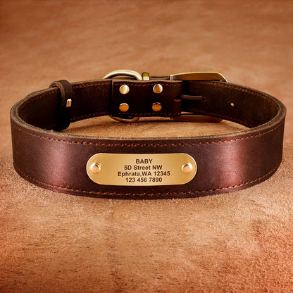 🐶 Personalisiertes Leder-Hundehalsband mit Leine – Echtleder-Set für große Hunde