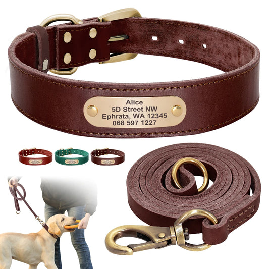 Personalisiertes Hundehalsband mit Leine aus echtem Leder für kleine, mittelgroße und große Hunde