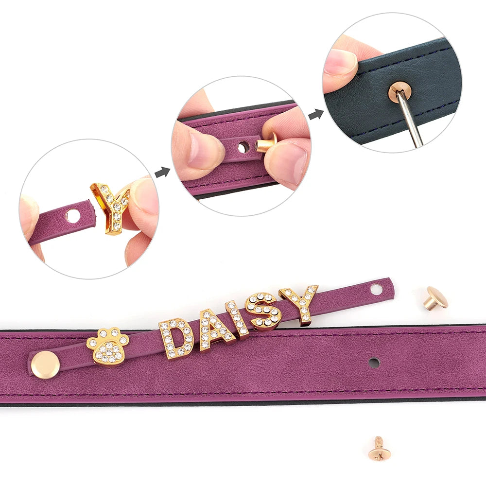 Personalisiertes Leder-Hundehalsband 🐾 Verstellbares Halsband mit Namensanhänger für kleine & mittelgroße Hunde