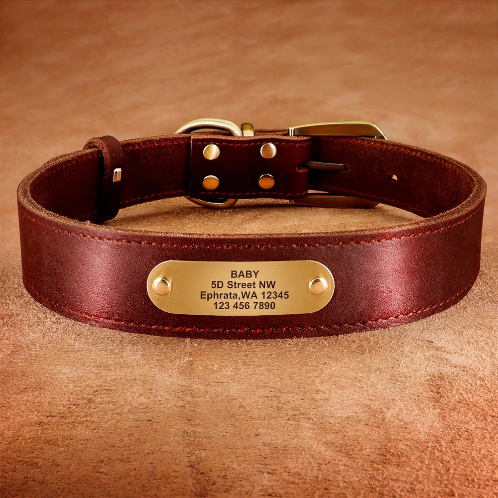 🐶 Personalisiertes Leder-Hundehalsband mit Leine – Echtleder-Set für große Hunde