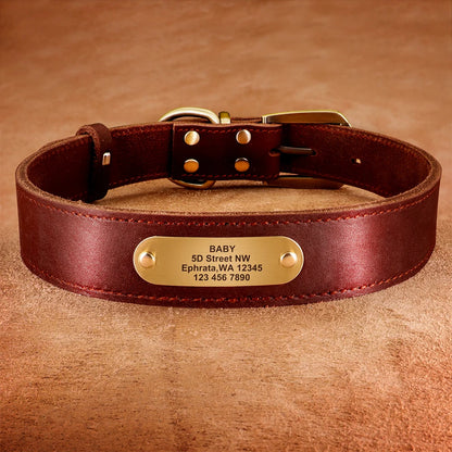 🐶 Personalisiertes Leder-Hundehalsband mit Leine – Echtleder-Set für große Hunde