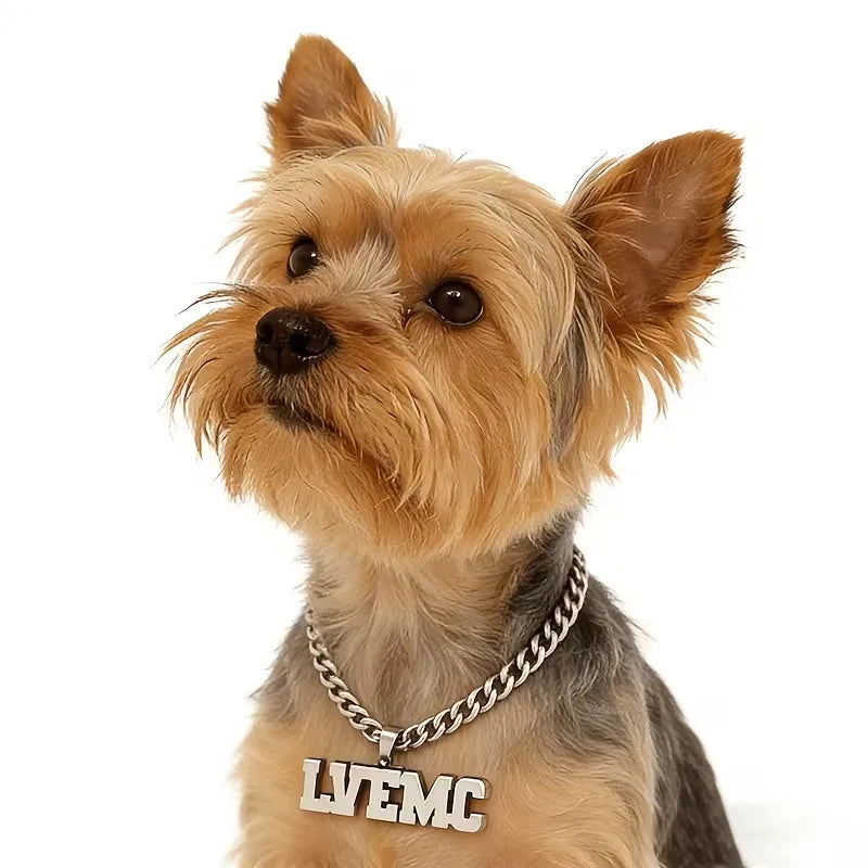 Personalisierte Hunde-Namenskette 🐾 5 mm Edelstahl-Gliederkette mit doppelter Hundemarke