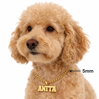 Personalisierte Hunde-Namenskette 🐾 5 mm Edelstahl-Gliederkette mit doppelter Hundemarke