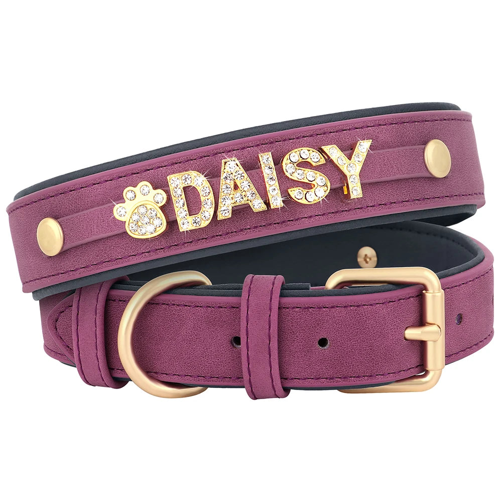 Personalisiertes Leder-Hundehalsband 🐾 Verstellbares Halsband mit Namensanhänger für kleine & mittelgroße Hunde