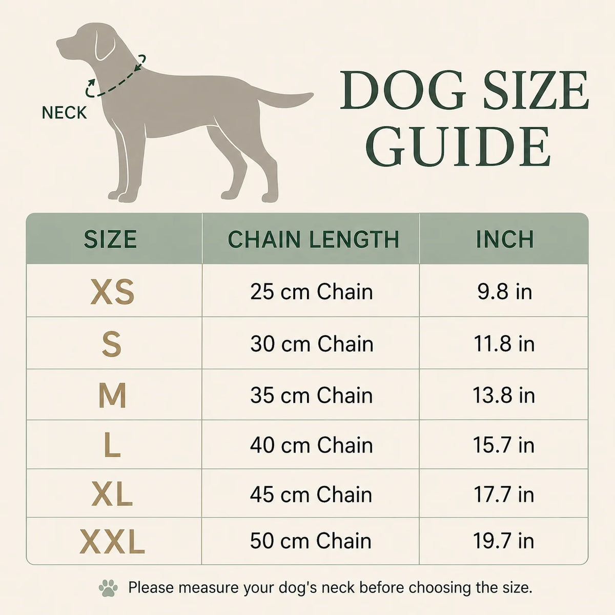 Personalisierte Hunde-Namenskette 🐾 5 mm Edelstahl-Gliederkette mit doppelter Hundemarke