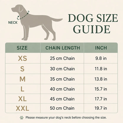 Personalisierte Hunde-Namenskette 🐾 5 mm Edelstahl-Gliederkette mit doppelter Hundemarke