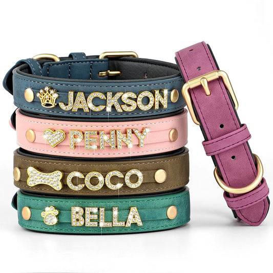 Personalisiertes Leder-Hundehalsband 🐾 Verstellbares Halsband mit Namensanhänger für kleine & mittelgroße Hunde