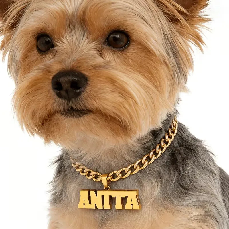 Personalisierte Hunde-Namenskette 🐾 5 mm Edelstahl-Gliederkette mit doppelter Hundemarke