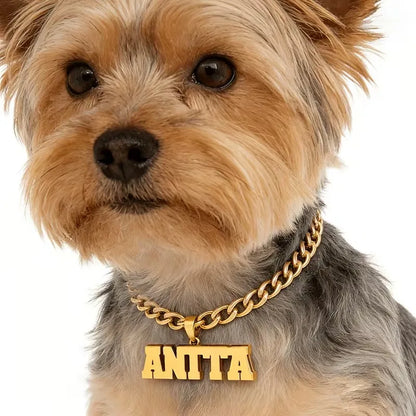 Personalisierte Hunde-Namenskette 🐾 5 mm Edelstahl-Gliederkette mit doppelter Hundemarke
