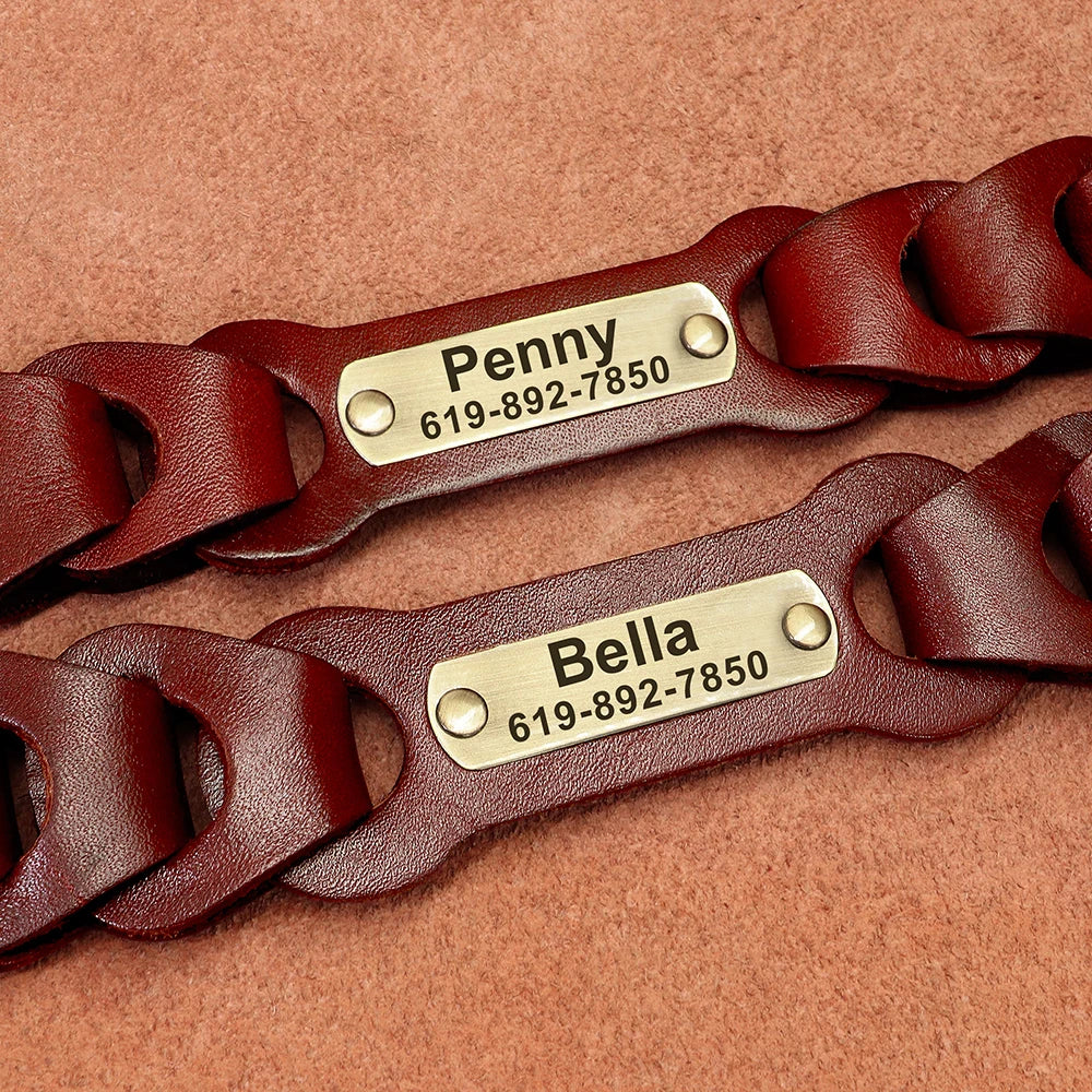 🐶 Personalisiertes Leder-Hundehalsband mit Namensgravur – Verstellbar & robust