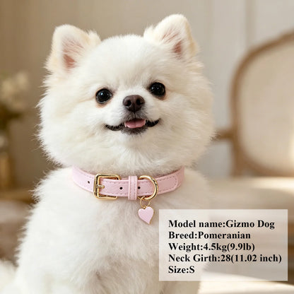 Personalisiertes Hundehalsband aus PU-Leder 🐶 Weiches Halsband mit Namensgravur für Hunde & Katzen