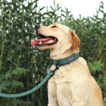 🐶 Personalisiertes Leder-Hundehalsband mit Leine – Halsband & Führleine im Set