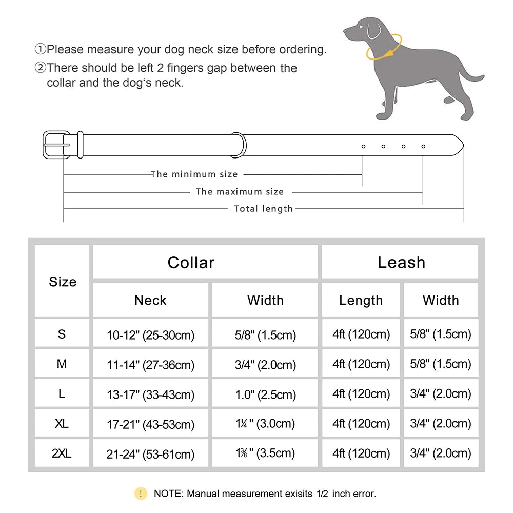 🐶 Personalisiertes Leder-Hundehalsband mit Leine – Halsband & Führleine im Set