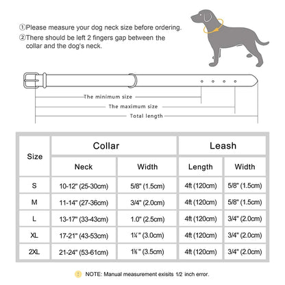 🐶 Personalisiertes Leder-Hundehalsband mit Leine – Halsband & Führleine im Set