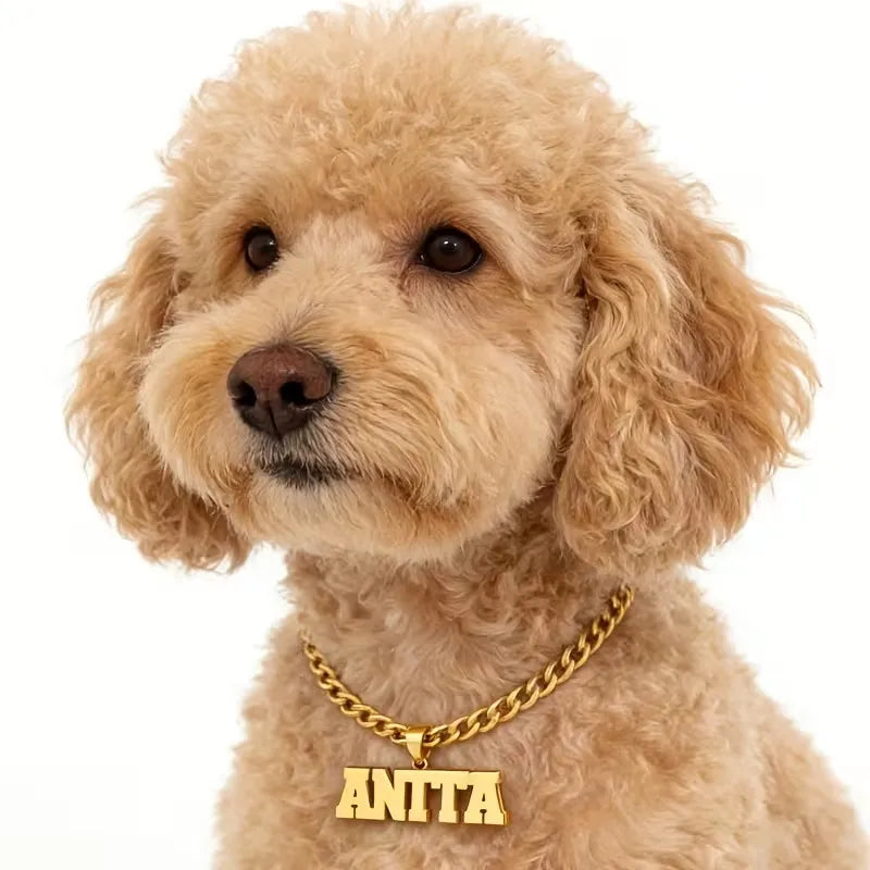 Personalisierte Hunde-Namenskette 🐾 5 mm Edelstahl-Gliederkette mit doppelter Hundemarke