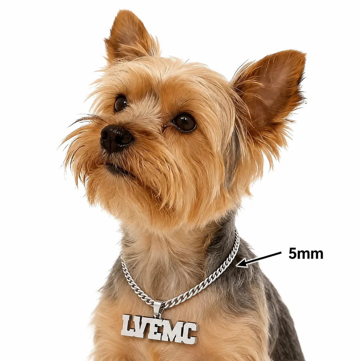 Personalisierte Hunde-Namenskette 🐾 5 mm Edelstahl-Gliederkette mit doppelter Hundemarke