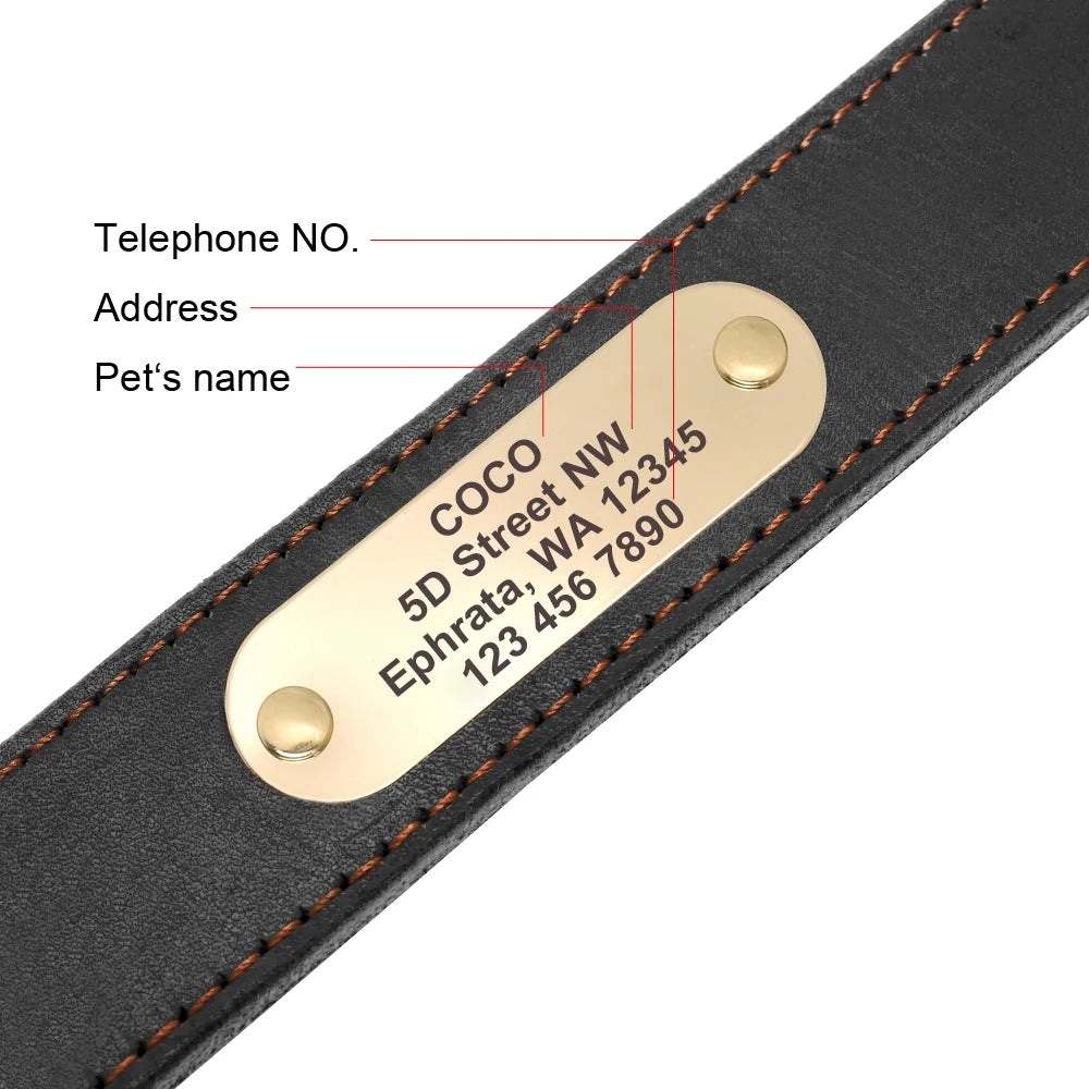 🐶 Personalisiertes Leder-Hundehalsband mit Leine – Echtleder-Set für große Hunde