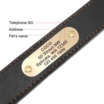 🐶 Personalisiertes Leder-Hundehalsband mit Leine – Echtleder-Set für große Hunde