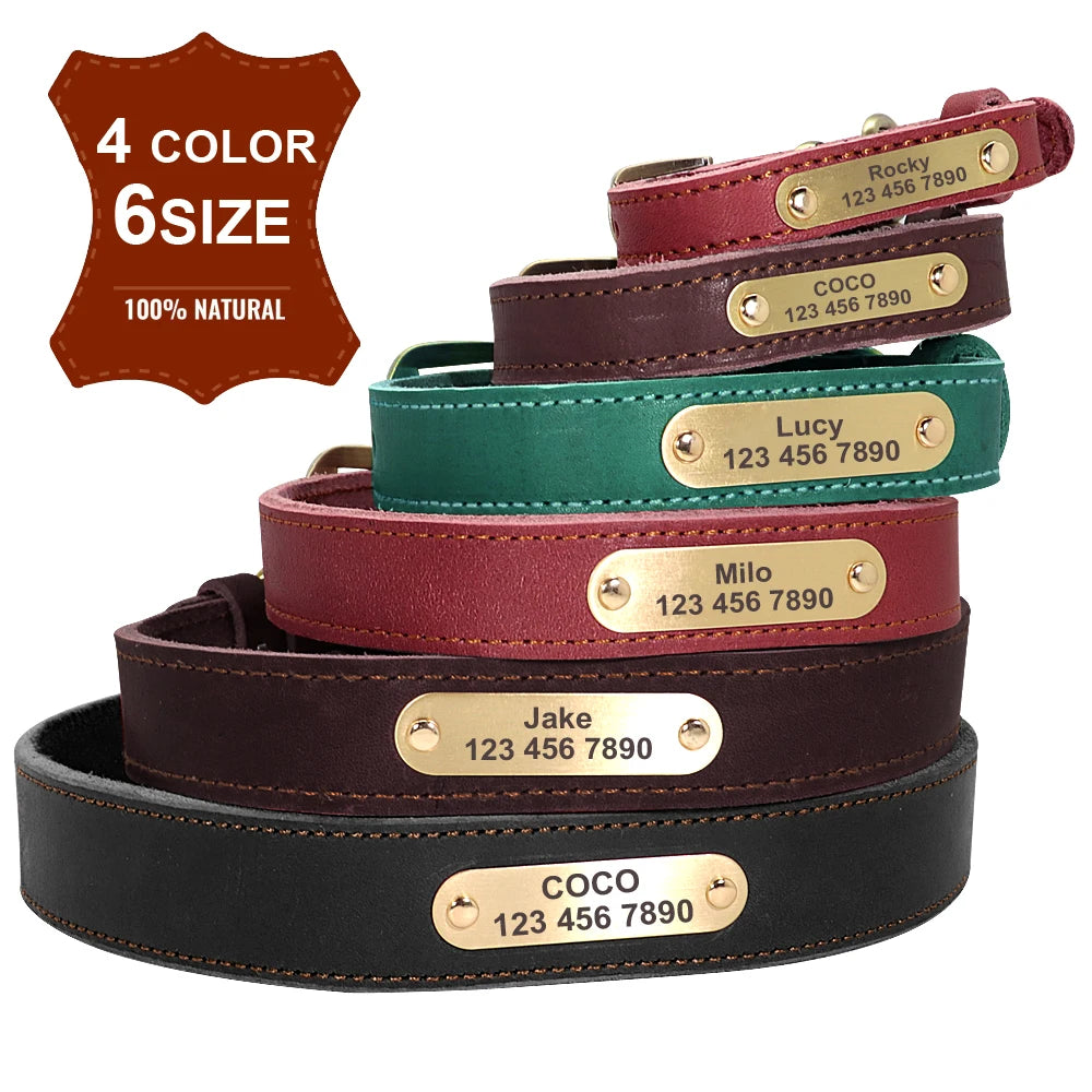 🐶 Personalisiertes Leder-Hundehalsband mit Leine – Echtleder-Set für große Hunde